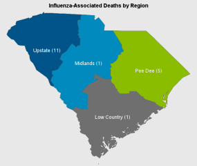 The Upstate region leads the state in flu-related deaths this season.