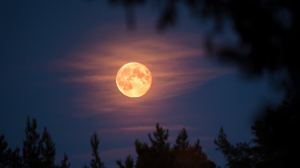 Full moon - stock photo