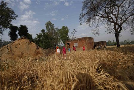 Women walk through a wheat field on their way to a polling station to cast their votes in Shabazpur Dor village in Amroha district in the northern Indian state of Uttar Pradesh April 17, 2014. I REUTERS/Adnan Abidi