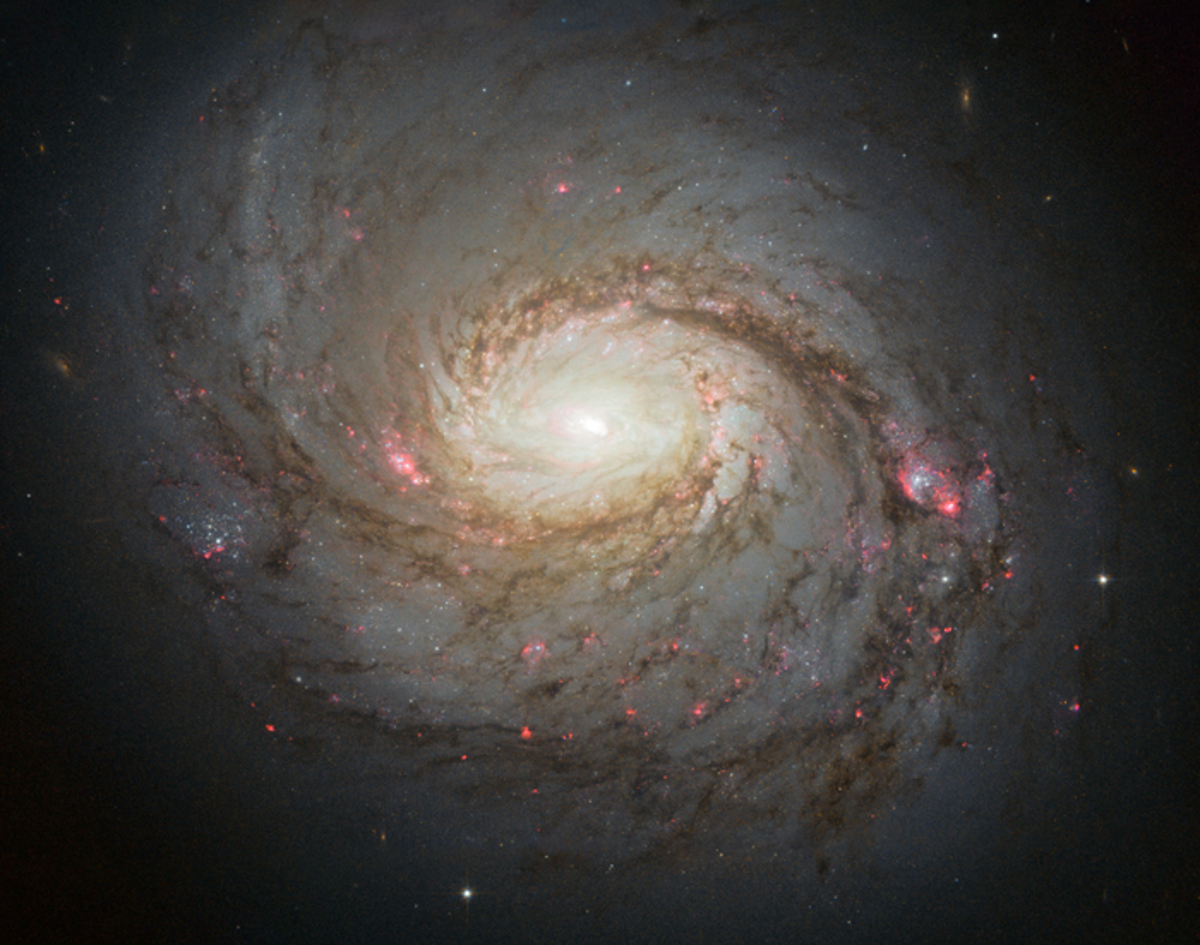 eThe spiral galaxy Messier 77 has been identified as a source of high energy neutrinos, a chargeless, near- massless, and difficult to detect particle created by cosmic ray impacts (NASA / ESA / A. van der Hoeven)