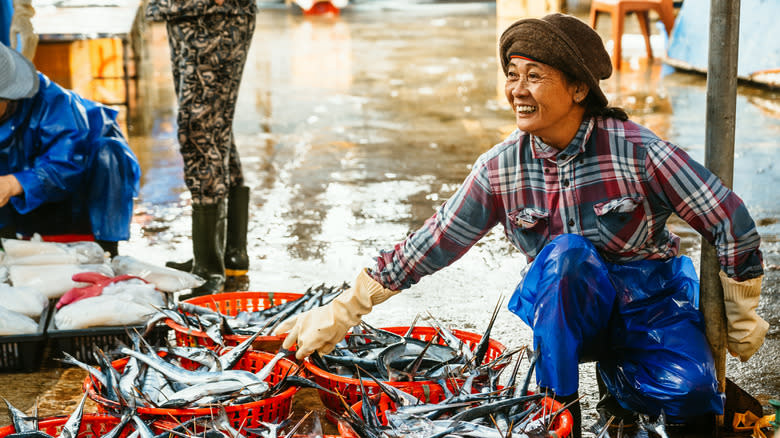 fisherwoman touching baskets of fish