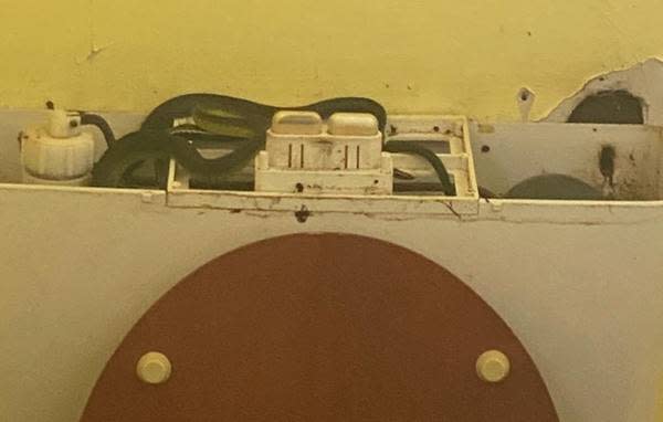 4條綠長蛇「纏繞交錯」在水箱中。（圖／翻攝自Townsville Snake Catchers臉書社團）