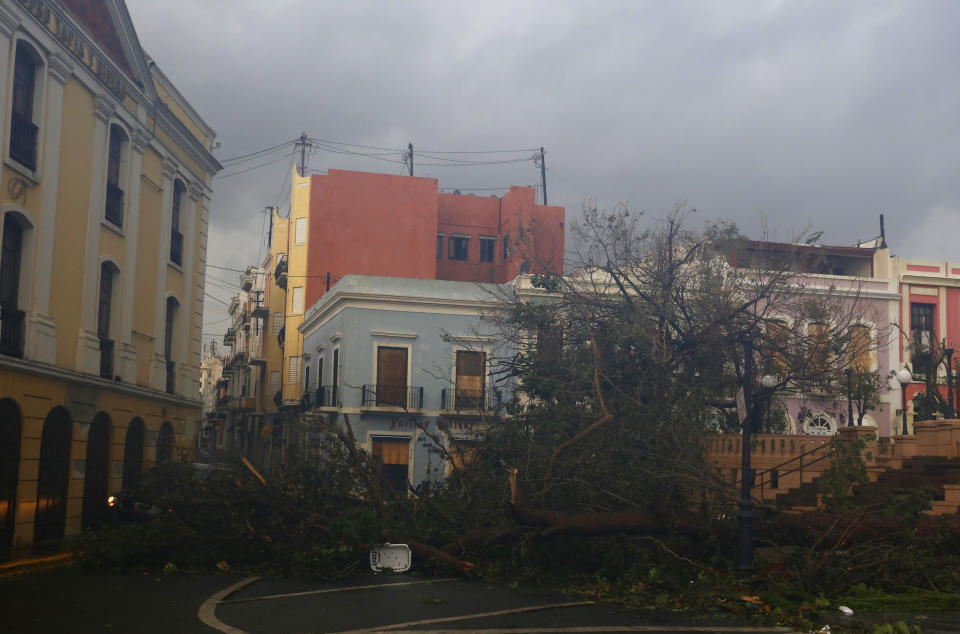 MIA68 – SAN JUAN (PUERTO RICO), 20/09/2017.- detalle de un árbol caído por el paso del huracán María hoy, miércoles 20 de septiembre 2017, en San Juan, Puerto Rico. El huracán María, debilitado a categoría 2, avanza hacia la zona oriental de República Dominicana con vientos máximos de 110 millas por hora (175 km/h), tras haber causado devastación e inundaciones “catastróficas” en Puerto Rico. EFE/Thais Llorca