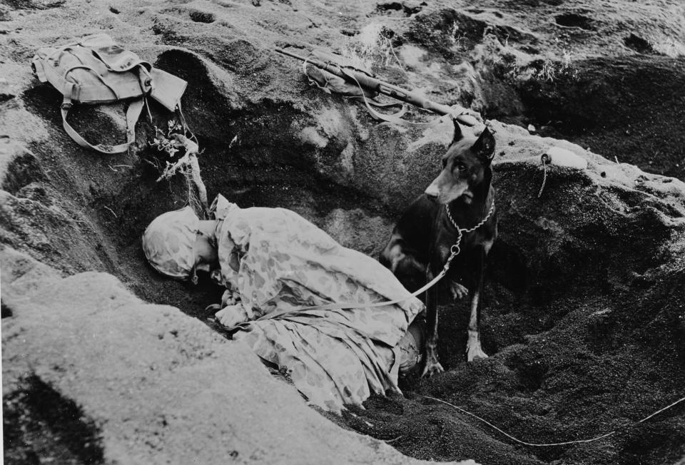 A dog sits by a Marine in a trench