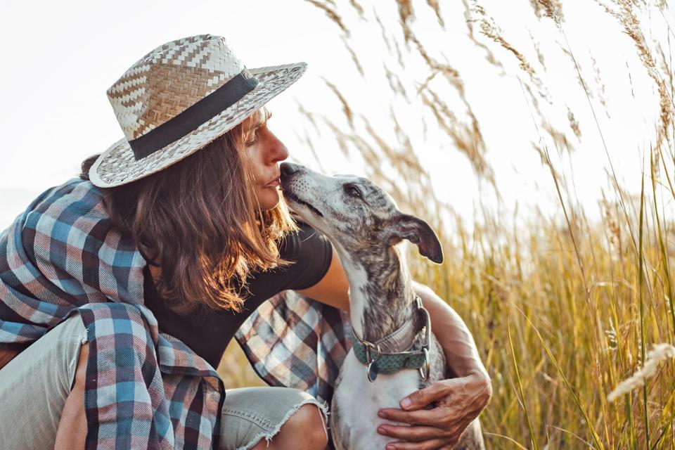woman sitting in a field kissing her whippet dog