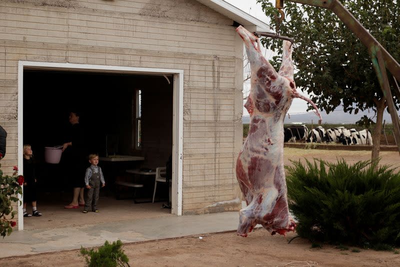 The Wider Image: In Mexico, a decade of images shows Mennonites' traditions frozen in time