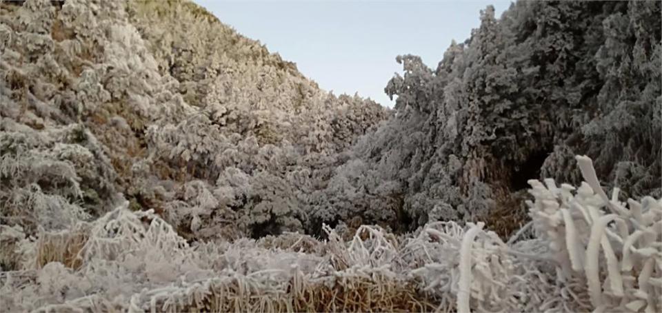 美翻！太平山變銀白世界 藍天白雲「日出霧凇」美景曝光