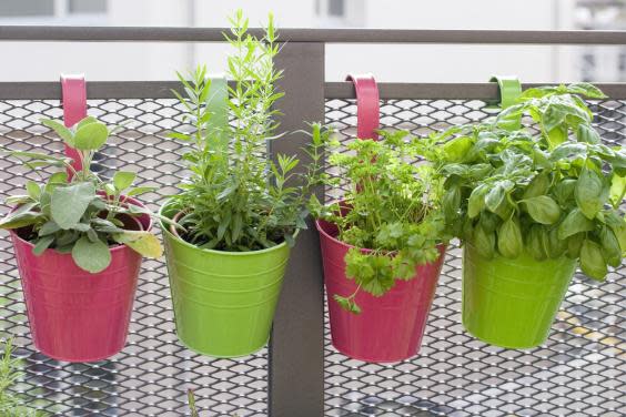 No matter how big or small your space, take advantage of the warm weather with a spot of gardening (Getty)