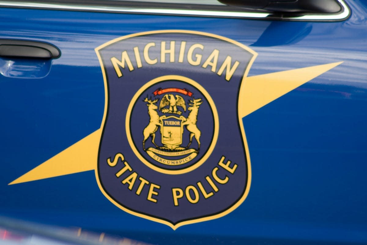 Michigan State Police reports