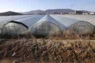 This photo shows rows of greenhouses at a farm in Pocheon, South Korea on Feb. 8, 2021. Amid a sea of greenhouses near South Korea’s ultra-modern capital, hundreds of migrant workers from across Asia toil in silence, isolated and unprotected by labor laws. (AP Photo/Ahn Young-joon)