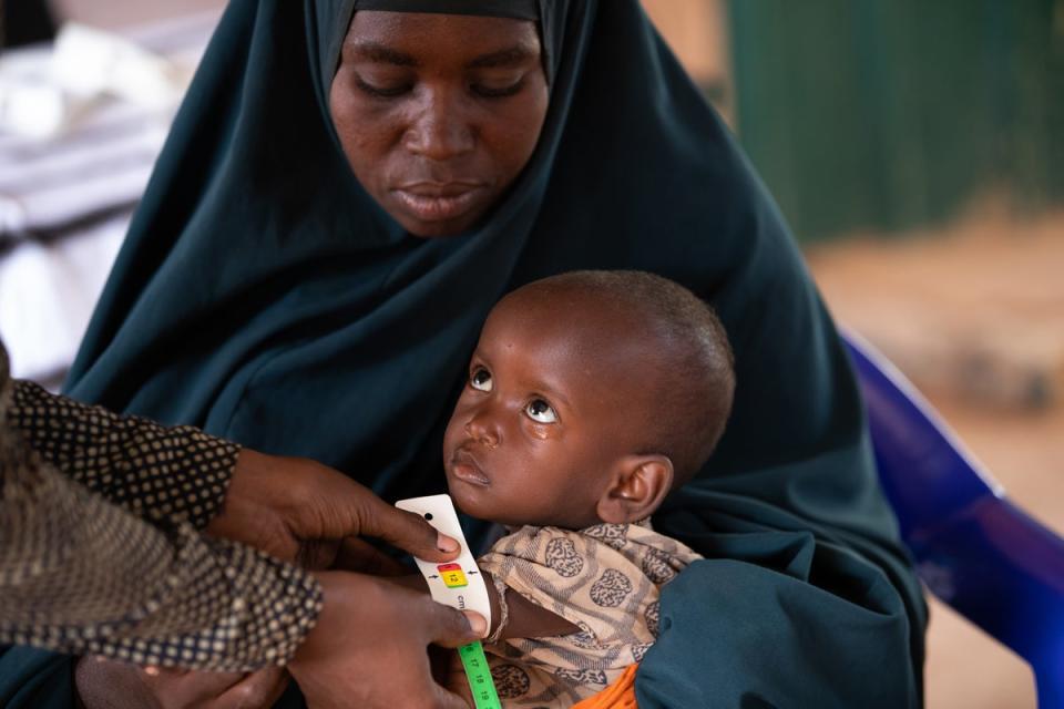 Mashallah, two, is held by his mother Dahera while his MUAC is measured and he is assessed for malnutrition (WFP/Samantha Reinders)