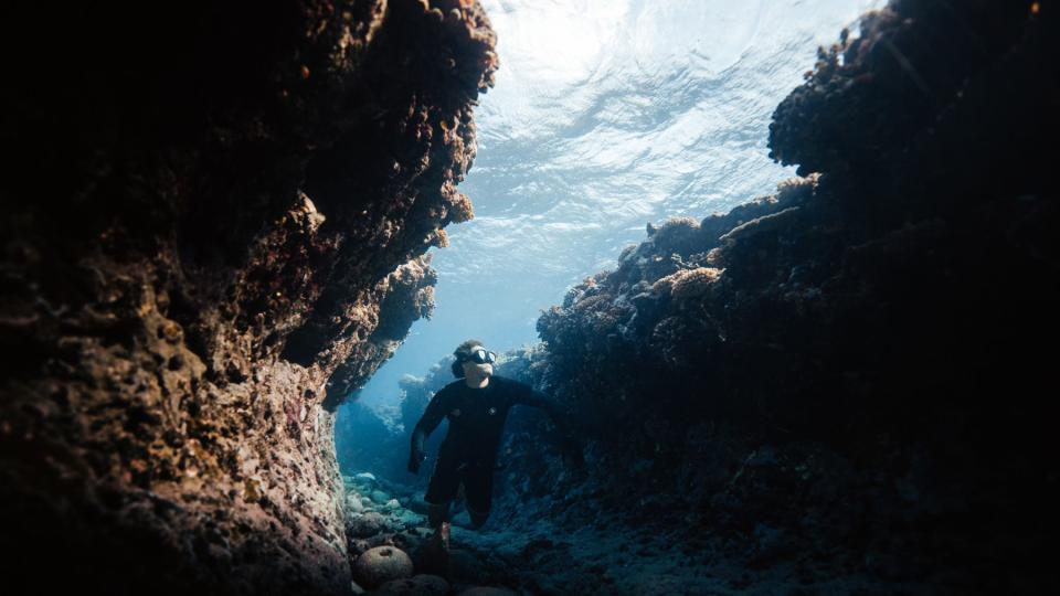 Coral Gardeners