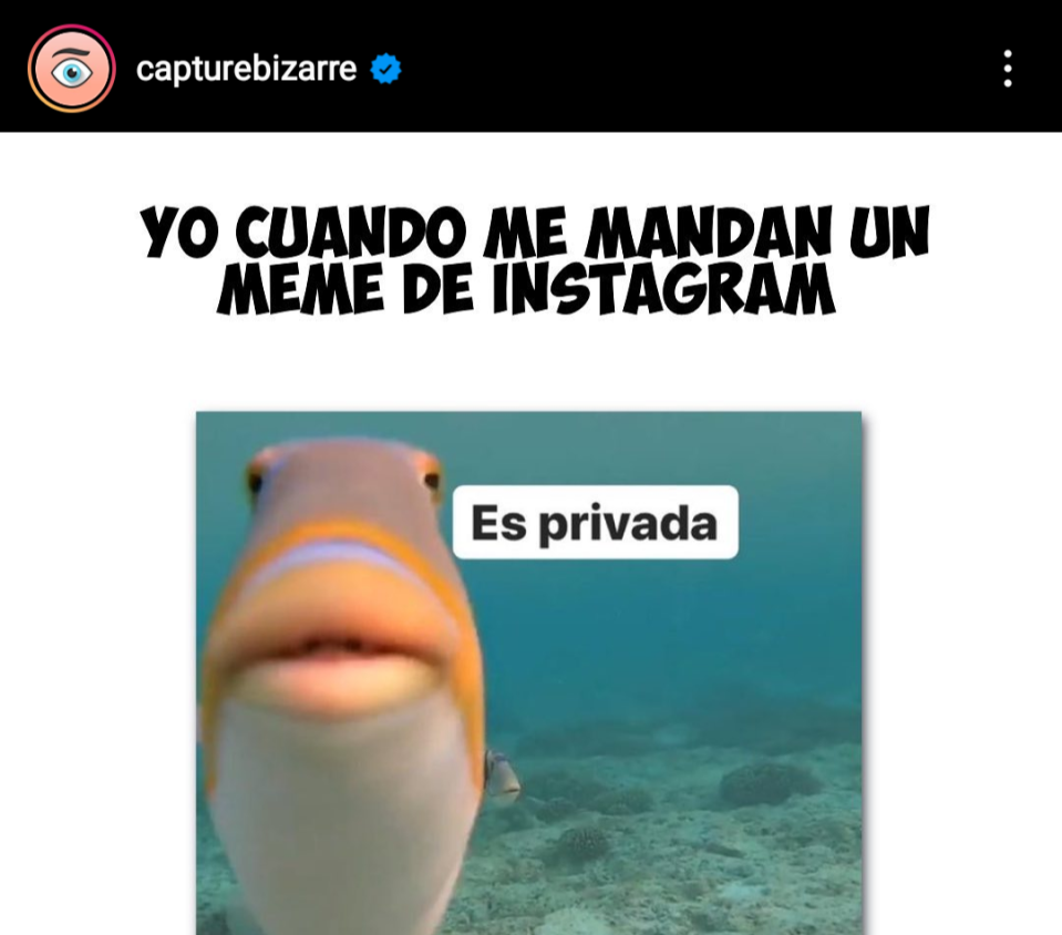 Memes de Capture Bizarre