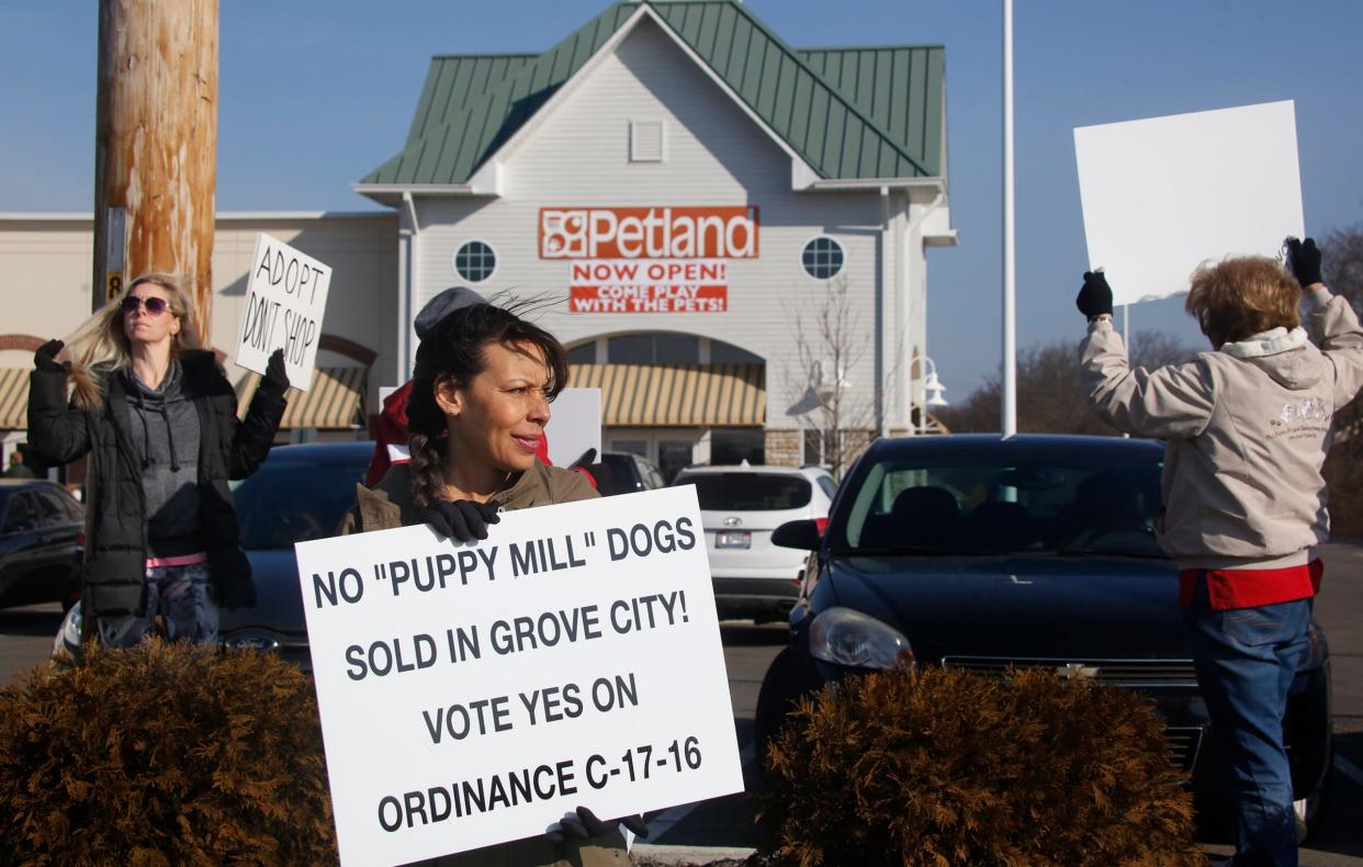 Paula Gebhardt and other protesters gather outside a Petland store in Grove City in 2016. Grove City passed an ordinance restricting where Petland can buy dogs, which prompted lawmakers to enact legislation that repealed local restrictions on pet stores.