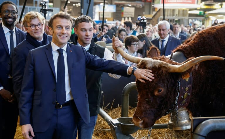 Macron advierte que el acuerdo UE-Sudamérica depende del medio ambiente