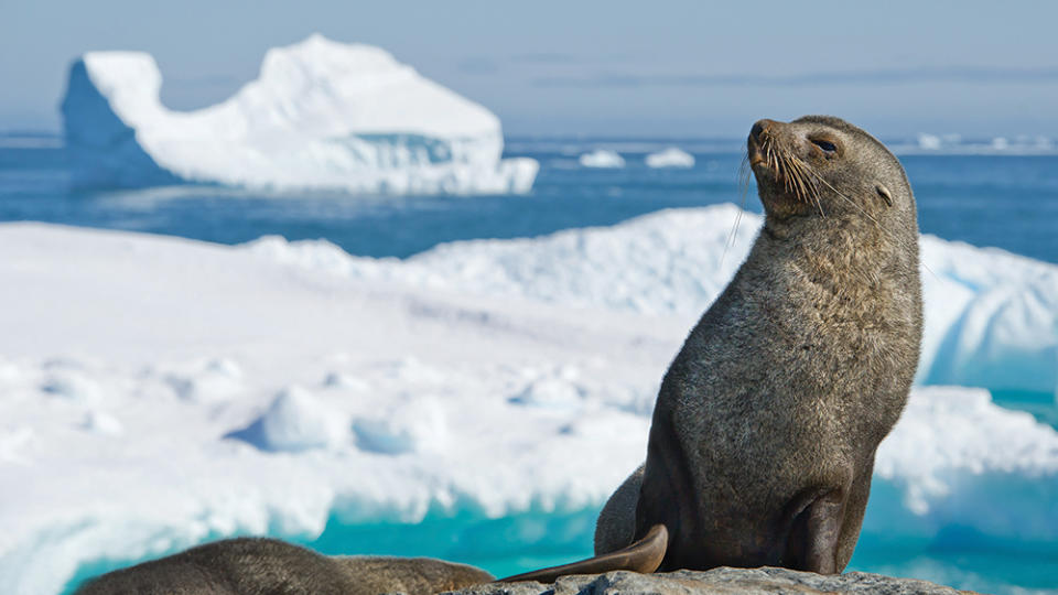 APT Antarctic Voyage