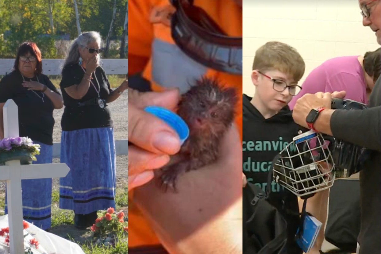 Good news roundup week of September 18. (Image courtesy from left: CBC News, NBC News, CBC News.)