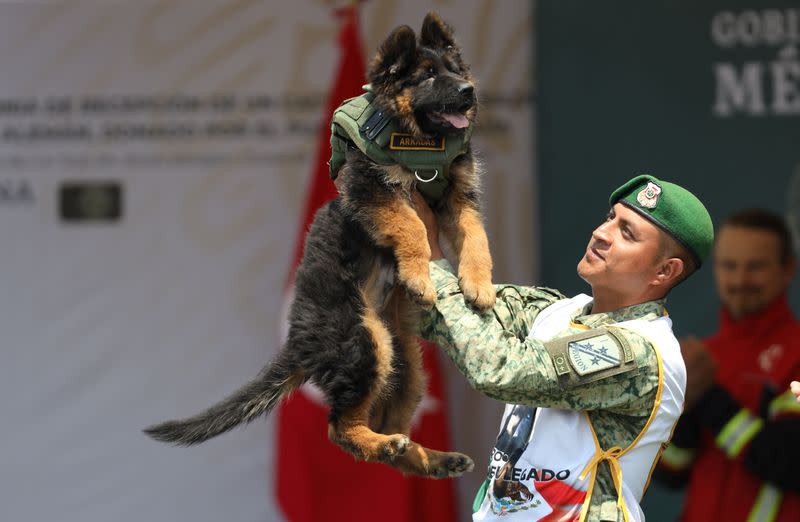 German Shepherd puppy named 'Arkadas' donated by the Turkey government