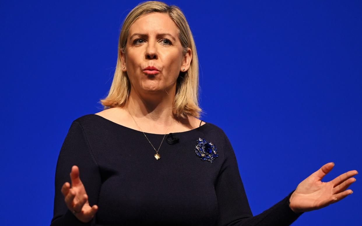 Dame Andrea Jenkyns has become the second Conservative MP to reveal she was targeted in a suspected Westminster honeytrap