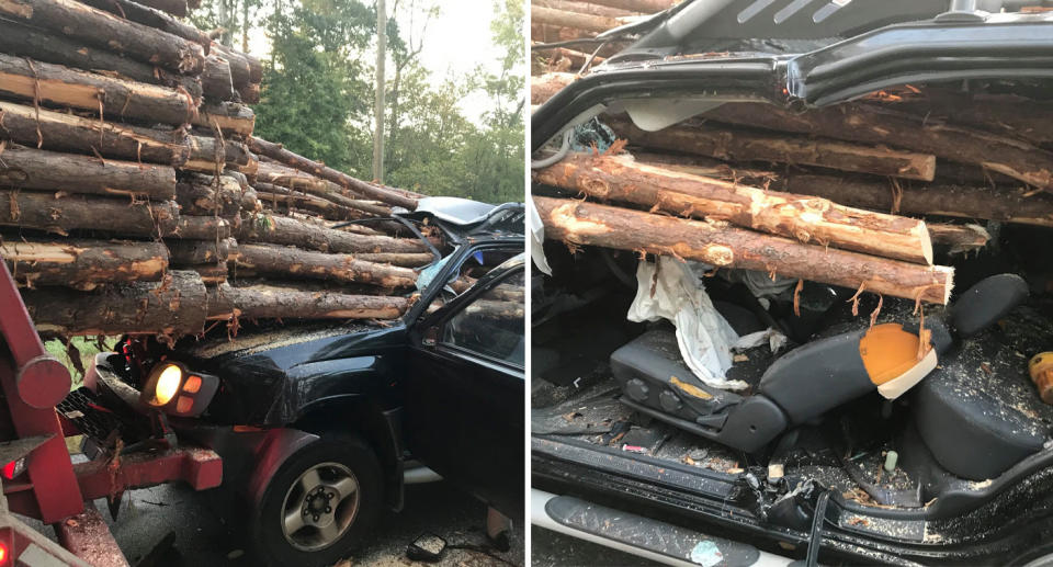 Logs shown pierced through car in crash in Georgia. The driver miraculously survived. 