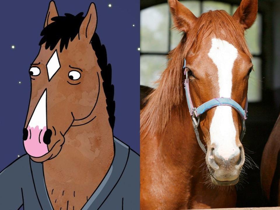 bojack side by side