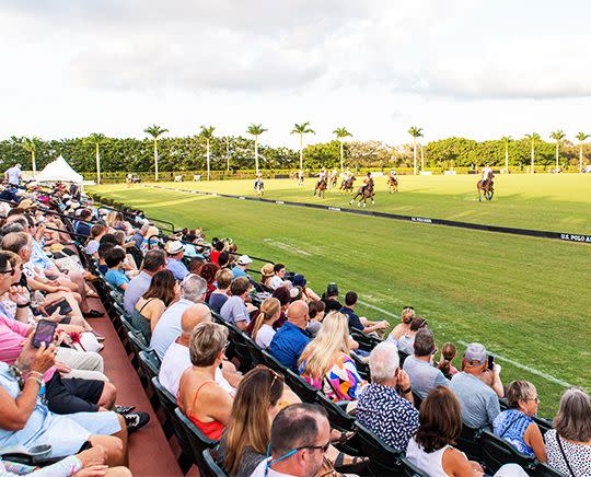 a crowd of people watching a polo match