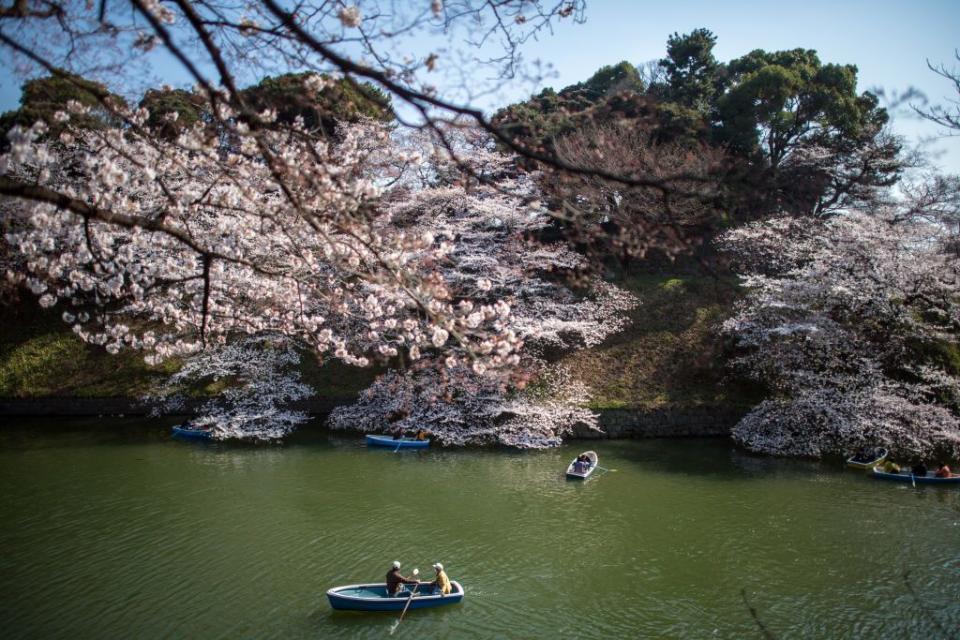 <p><em>Late March to early April</em></p><p>The boat rental lines may be long, but the incredible, one-of-a-kind views you'll get paddling down the moat at Chidorigafuchi Park is worth the wait. Visit during cherry blossom season to take advantage of the park's special events. If you're there a little after the blossoms peak, you may get a chance to see the surface of <a href="https://www.womansday.com/health-fitness/wellness/a22698221/drinking-water-for-skin/" rel="nofollow noopener" target="_blank" data-ylk="slk:the water;elm:context_link;itc:0;sec:content-canvas" class="link ">the water</a> blanketed with petals from the park's two hundred cherry trees. </p>