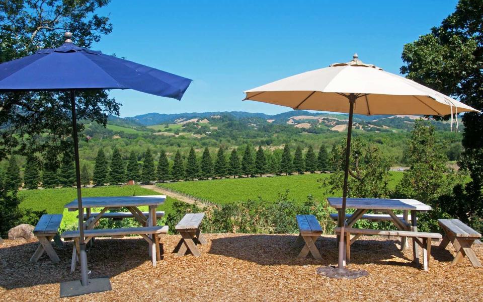 View from Copain Wines, Sonoma, California