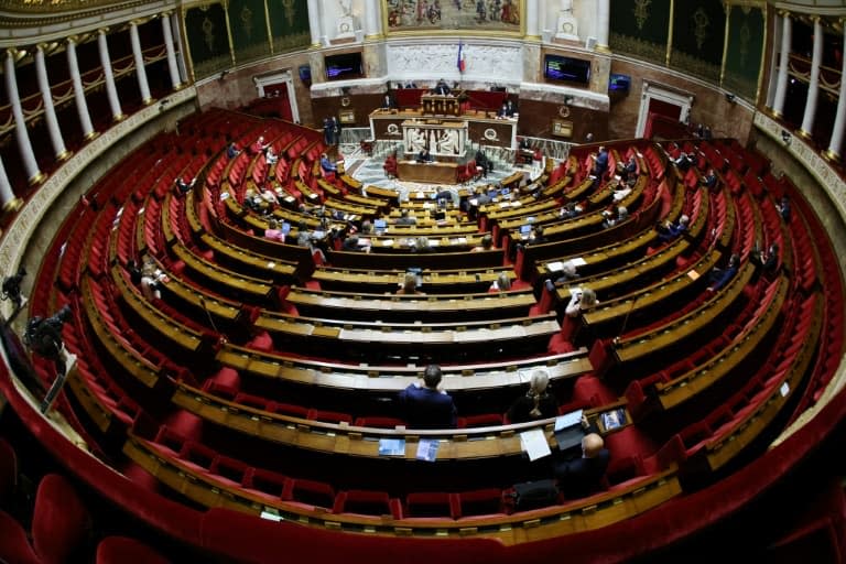 L'hémicycle de l'Assemblée nationale (illustration) - THOMAS COEX © 2019 AFP