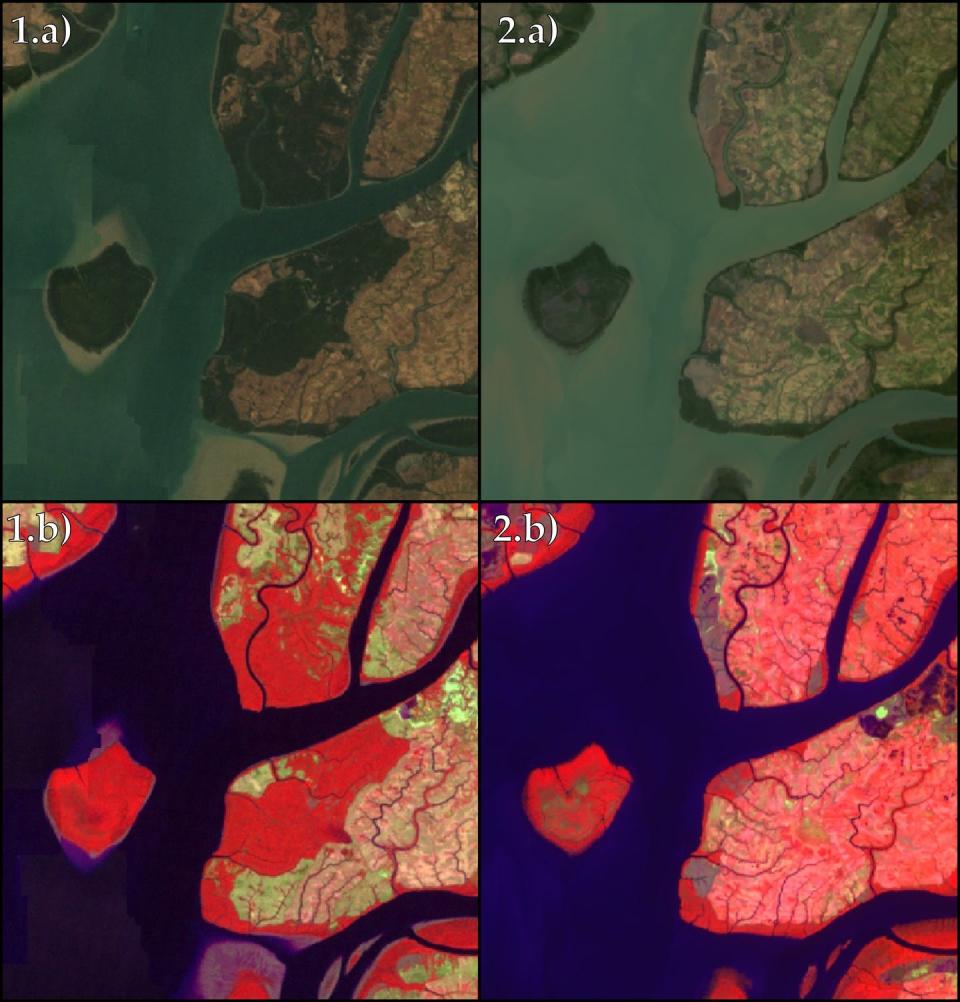 Satellite images showing mangrove deforestation.