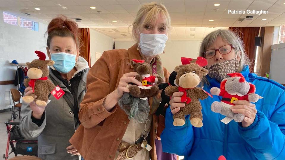 Patricia Gallagher put an ad on Craigslist, asking for gently used stuffed animals. In her first two years of collecting, she received more than 11,000 donated stuffed animals.  / Credit: Patricia Gallagher