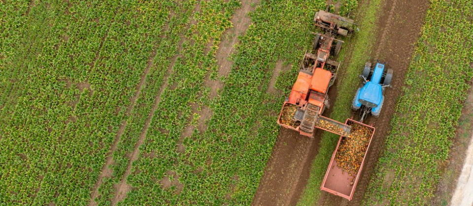 Les agriculteurs, et notamment  les betteraviers, manifesteront pour la « sauvegarde de leurs moyens de production. »  - Credit:YANN AVRIL / Biosphoto / Biosphoto via AFP