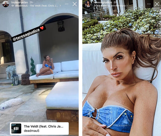 Style Living Ig Rhonj Teresa Giudice Bikini 1