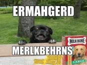 Auch im Tierreich griff der Virus rasch um sich. "Oh my God - Milk-Bones!" ("Oh mein Gott - Milch-Knochen!")