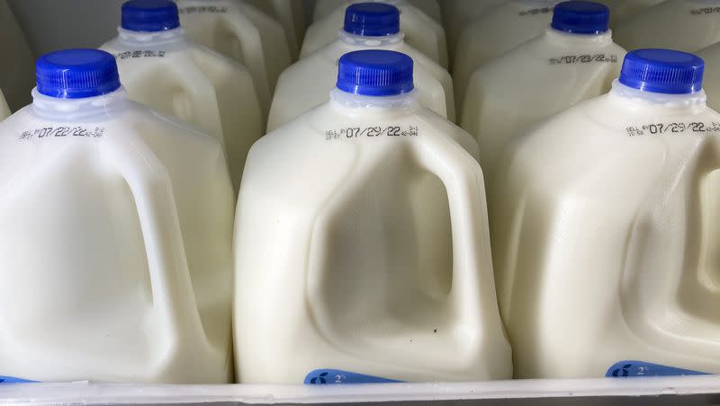 Milk is displayed at a grocery store in Philadelphia, Tuesday, July 12, 2022. In a recent New York Times article, Generation Z was dubbed the “Not Milk generation” because they bought 20% less milk than the national average last year.