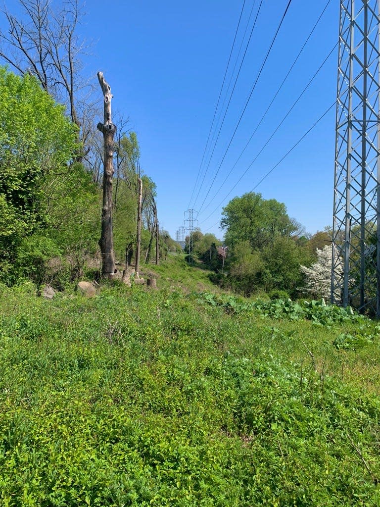 This strip of land separates two neighborhoods in Edgemoor. Authorities at Veolia say they believe untreated underground water is flowing under the neighborhood to the left of this strip. Residential properties to the right of this strip are continuously flooded with this untreated water. April 22, 2024