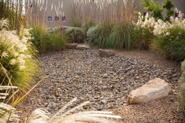 What we wish we knew: lessons for rain garden implementation - EasyBlog