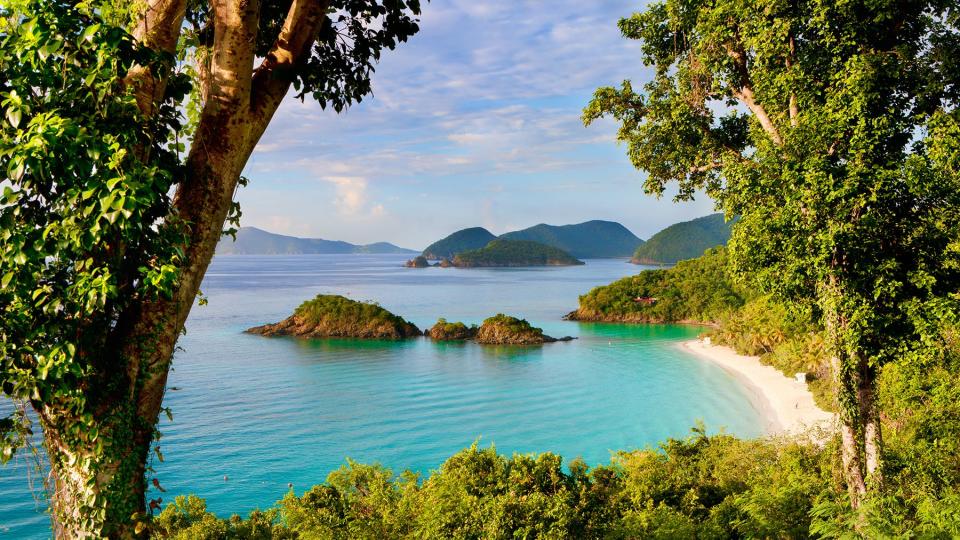 overlook of Trunk Bay, St. John, US Virgin Islands in the Caribbean