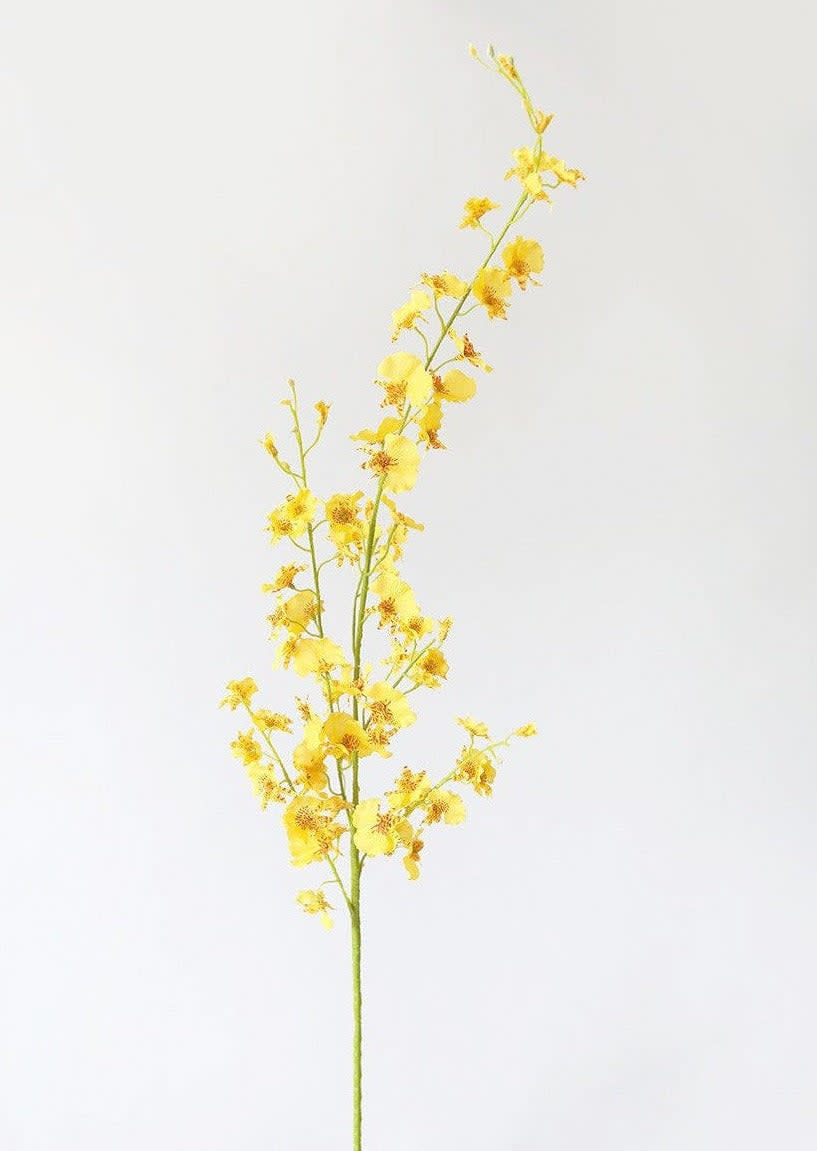 <p><a href="https://go.redirectingat.com?id=74968X1596630&url=https%3A%2F%2Fwww.afloral.com%2Fproducts%2Fyellow-artificial-dancing-orchid-flowers-40&sref=https%3A%2F%2Fwww.goodhousekeeping.com%2Fholidays%2Feaster-ideas%2Fg5086%2Feaster-gifts-for-adults%2F" rel="nofollow noopener" target="_blank" data-ylk="slk:Shop Now;elm:context_link;itc:0;sec:content-canvas" class="link ">Shop Now</a></p><p>Artificial Dancing Orchid Flowers</p><p>afloral.com</p><p>$24.95</p>
