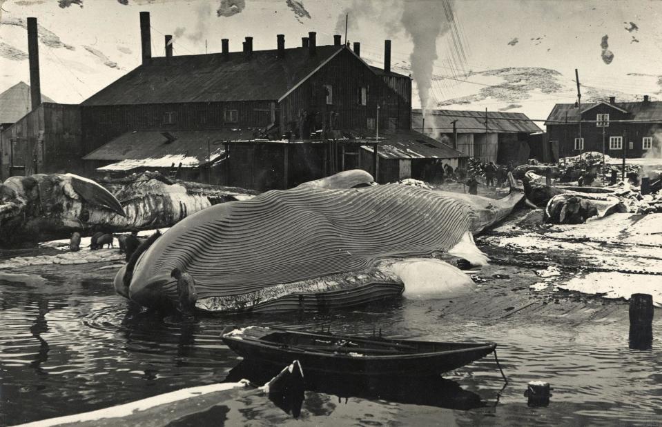 <p>Frank Hurley/Scott Polar Research Institute, University of Cambridge/Getty Images</p>