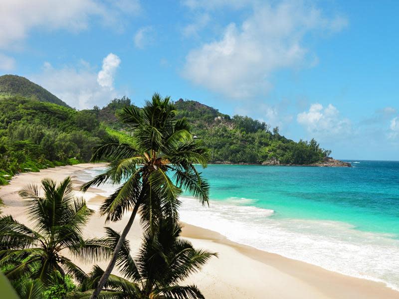 Die Seychellen mit ihren paradiesischen Stränden sind ein Edelziel. Thomas Cook legt zum Winter einen eigenen Ganzjahreskatalog für luxuriöse Fernreisen auf. Foto: Thomas Cook AG