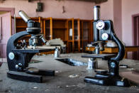 <p>One of the other labs, with microscopes on the tables. (Photo: Leland Kent/Caters News) </p>