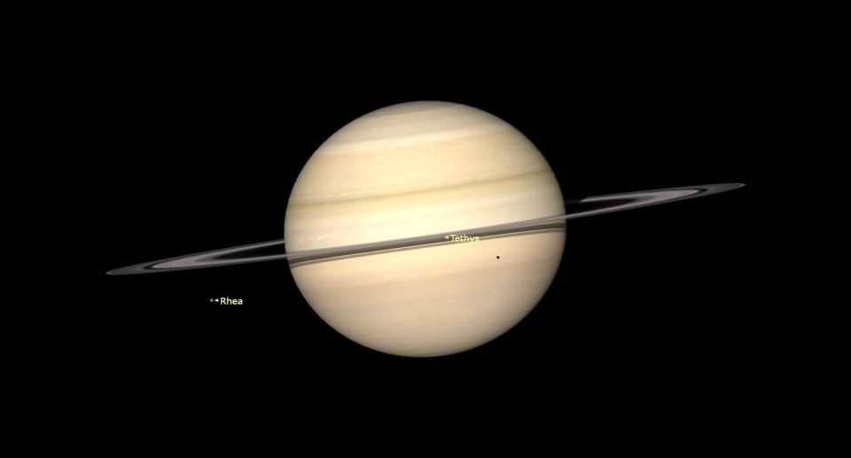 a pale yellow planet surrounded by brown rings