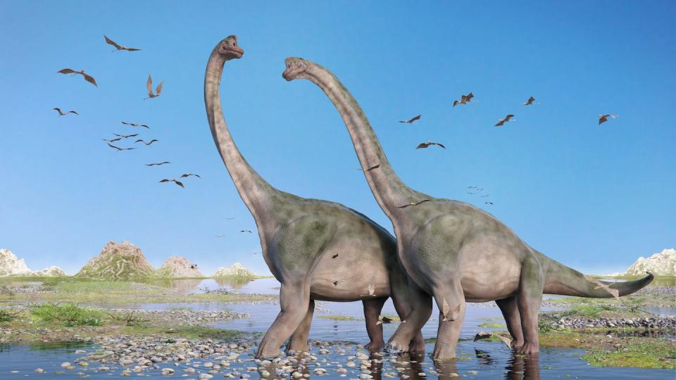 <em>Brachiosaurus</em>, a herbivore from the Jurassic Period. In the background: a flock of Pterosaurs. <a href="https://www.gettyimages.com/detail/photo/couple-of-brachiosaurus-altithorax-and-a-flock-of-royalty-free-image/870596224?adppopup=true" rel="nofollow noopener" target="_blank" data-ylk="slk:dottedhippo/iStock via Getty Images Plus;elm:context_link;itc:0;sec:content-canvas" class="link ">dottedhippo/iStock via Getty Images Plus</a>
