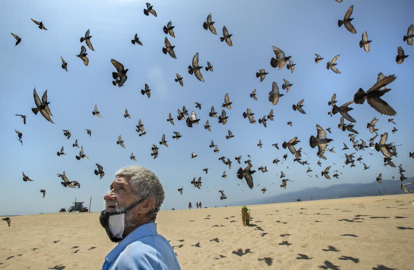SANTA MONICA, CA-AUGUST 3, 2022: Augustine Hurtado, 65, observes pigeons flying overhead at Santa Monica State Beach. Hurtado, who is homeless, has been feeding them on a daily basis for the past 7 years. (Mel Melcon / Los Angeles Times)