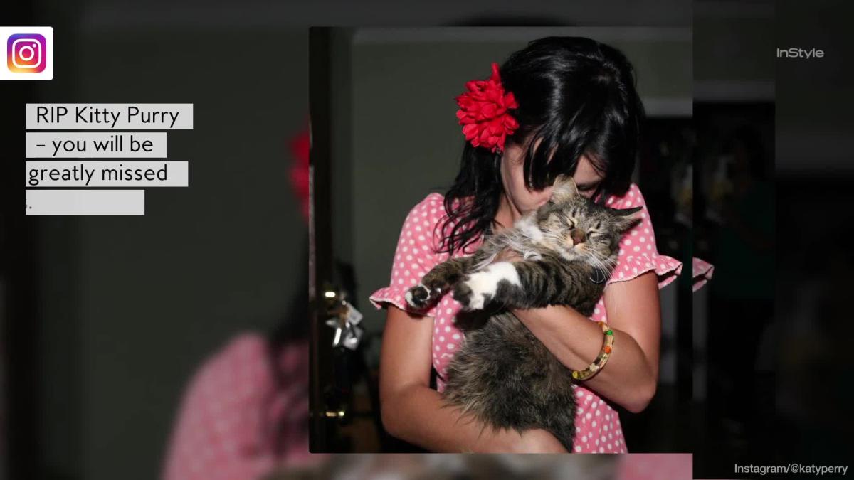 Katy Perrys Cat Kitty Purry Has Passed Away 1278