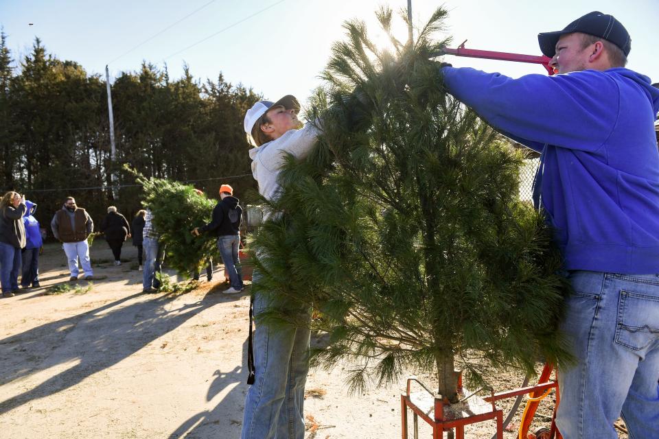 Farm employees assist a customer with their tree on Saturday, November 28, Riverview Christmas Tree Farm in Canton.