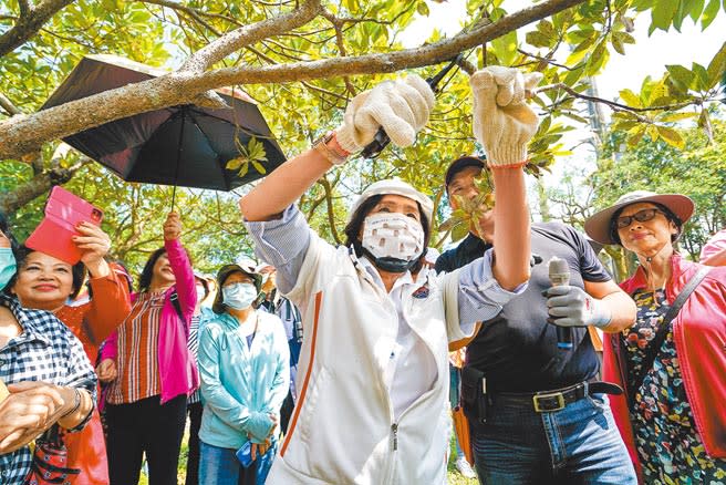 宜蘭縣政府首次開辦樹木研習女性專班，縣長林姿妙（右三）6日前往關心學員研習狀況，在講師指導下學習修剪樹木枝條。（李忠一攝）