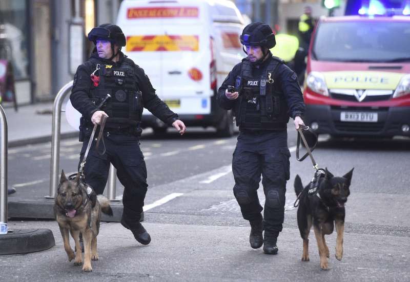 2019年11月29日，英國倫敦橋發生恐怖攻擊案，警方派出警犬搜索是否殘留爆裂物。（AP）