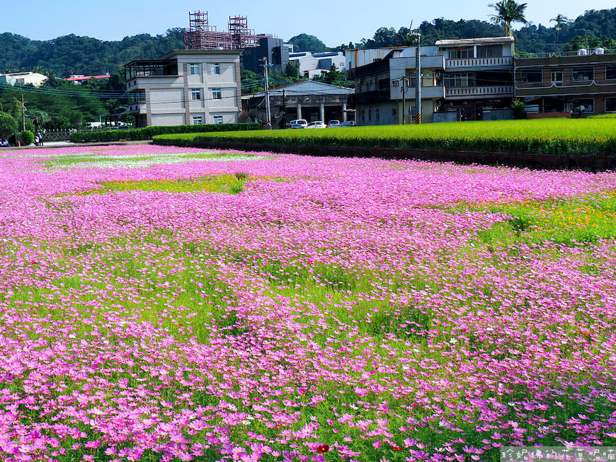 2023桃園花彩節